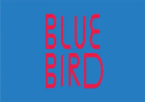 Blue Bird logo with red stylized text on a blue background reading BLUE BIRD