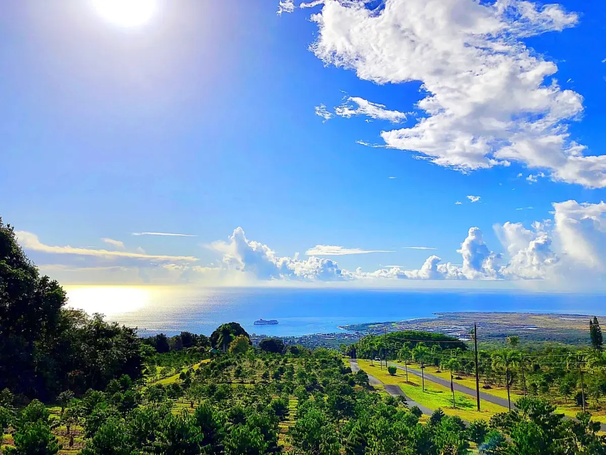 広大な海と空が広がる明るい風景。手前には緑豊かな丘と農園が広がり、遠くにはクルーズ船が浮かぶ海岸線と街並みが見える。